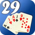 29 Card